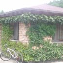 고인돌공원관리사무소 이미지