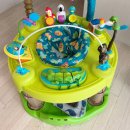 아마존 | 아마존 쏘서 사용시기 내돈내산 대여 후기