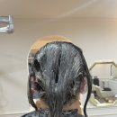 Salon M(살롱 엠) 이미지
