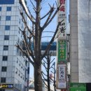 BYC안양 비스타 오피스텔 | 안양역, 안양일번가 마사지 &#34;황후약손테라피&#34; 60분 스포츠전신관리 후기