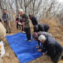 삼배농장 이미지