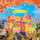 강원도래요 쇼핑하우