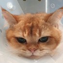 호남동물병원 이미지