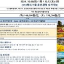 구절초 꽃축제 투어기차 이미지