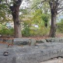 엄정면 구룡로 393, (목계리) 이미지