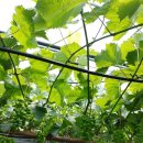 위형수농장 이미지