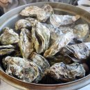 고흥식당 이미지