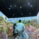 (주)모노랩스 | 화담숲 모노레일 단풍드는 시기 상세리뷰