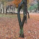 콘다주식회사 네이버블로그
