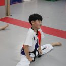 ACE 태권도장 이미지