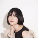 장선 이미지