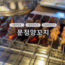 동탄하나1길 | 동탄 남광장 양꼬치 '문정양꼬치' 꿔바로우, 지삼선까지 풀코스 가족 외식 후기! 맛도리 완벽 조합