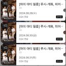 글로벌씨로스(주) 평택대학교 | 2024 덕질 결산