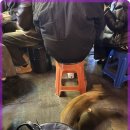 온달집 네이버블로그