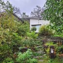 고길천로 | [평창 감성카페] 이화에월백하고 – 주말에만 여는 평창 여행 숨은 힐링 카페