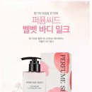 더바디리페어샵 이미지