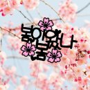 효태권도 이미지