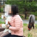 서호테라피