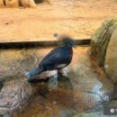 겨리농장 이미지