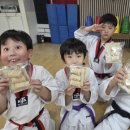 경희대 대영 태권도장 이미지