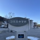 고모리 저수지광장 | 포천 가볼만한곳 산책하기 좋은 고모호수공원 고모리저수지 (+주차)