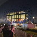 강수정 카카오 검색결과