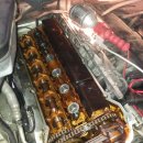 오토 오아시스 이미지