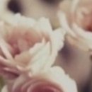 만 수 정 이미지