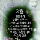 샬롬 이미지