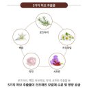 헤어루트 - 구미시 | 헤어루트