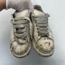 스웨디언 이미지