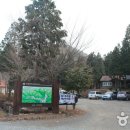 남해편백자연휴양림(남해) 이미지