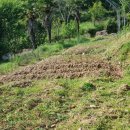 풀내음힐링캠프 이미지