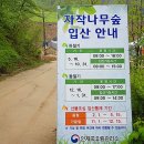 자작나무 펜션2 이미지