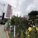 세월천로137번길 | 청천동 원적산 공원 앞 식물원아지트 카페