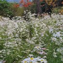 대아푸드 이미지