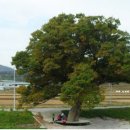 백민미술관 이미지