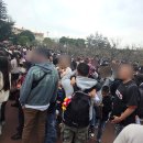 오케이편의점마트 | 11월 도쿄 2박3일 친구랑여행(2,3일차)(디즈니씨 긴자오케이마트 팡메종 캐릭터스트리트 야네센)