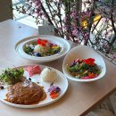 임실농장 | 거창 맛집 이수미팜베리 베리임실치즈돈가스 꽃비빔밥