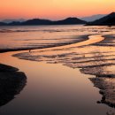 생태전문생태야생태 이미지