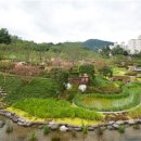 중랑캠핑숲 이미지