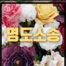 법무사예인