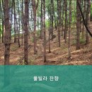 풀빌라잔향 이미지