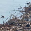 모산골 공원 이미지