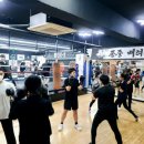 일산 Box-1 복싱 이미지