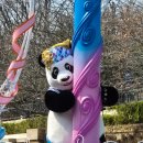 [용인]🌸 에버랜드 나들이 후기 – 판다도 보고, 맥주도 한 잔!
