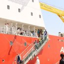 원양참치 이미지