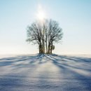 신가람행정사사무소 이미지