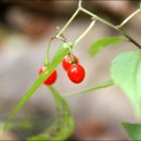 나의목장 이미지