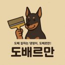 베스트동물병원 | 전남 화순 도배, 베스트, 화순 병원 상가 80평, 도배르만